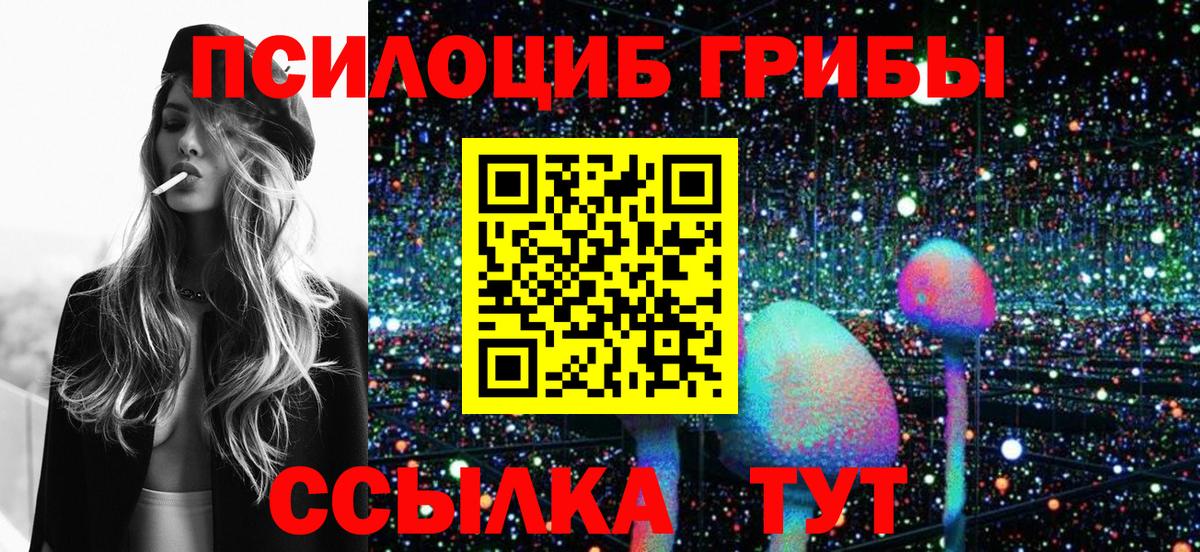 Псилоцибиновые грибы Psilocybine cubensis Орехово-Зуево