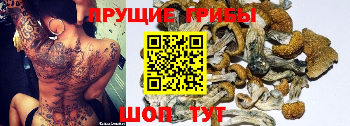 Галлюциногенные грибы мухоморы  Вход с VPN  Орехово-Зуево 